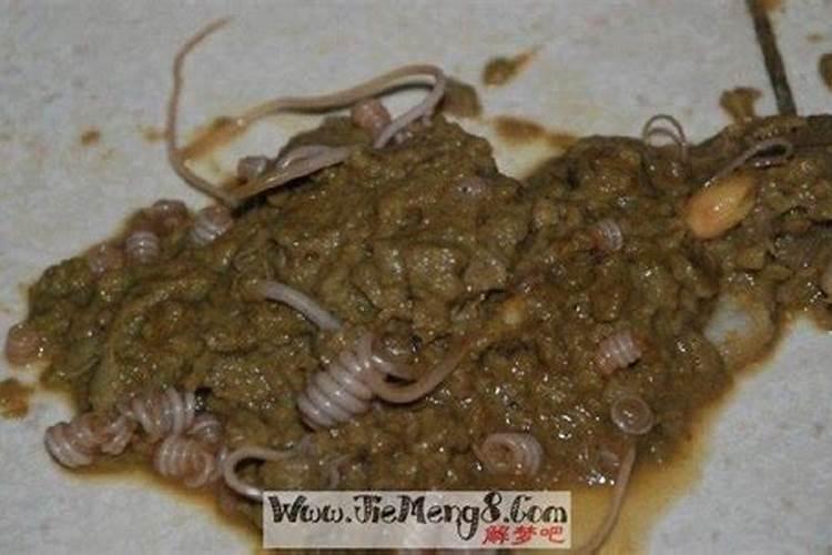 梦见扫狗屎是什么意思？