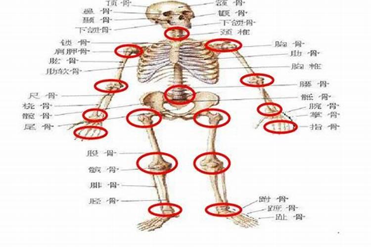还有几天端午节2024