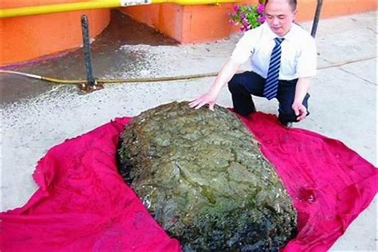 农历的三月十五是什么星座啊