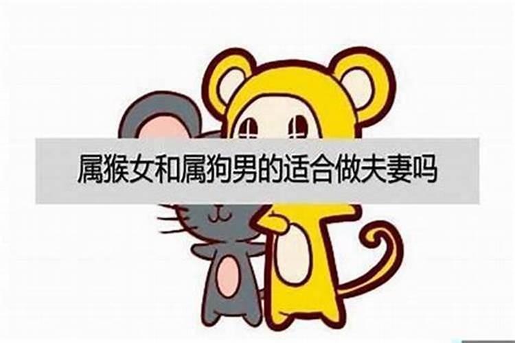 生辰八字查询自己属于哪种命？
