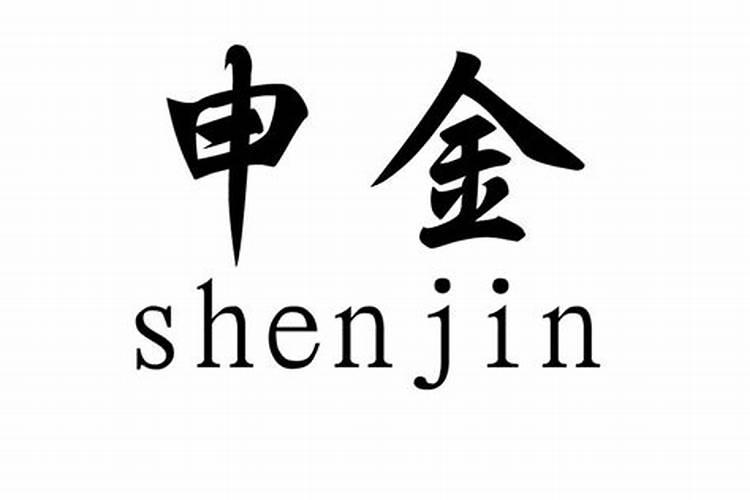 申金代表什么
