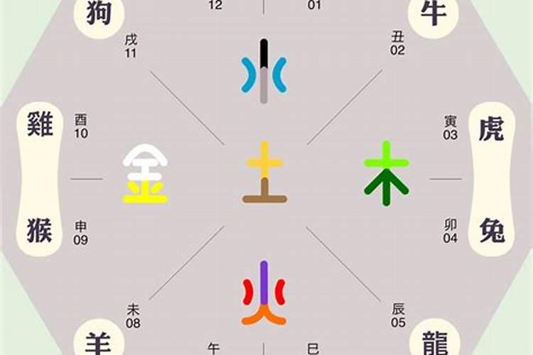 申金代表什么