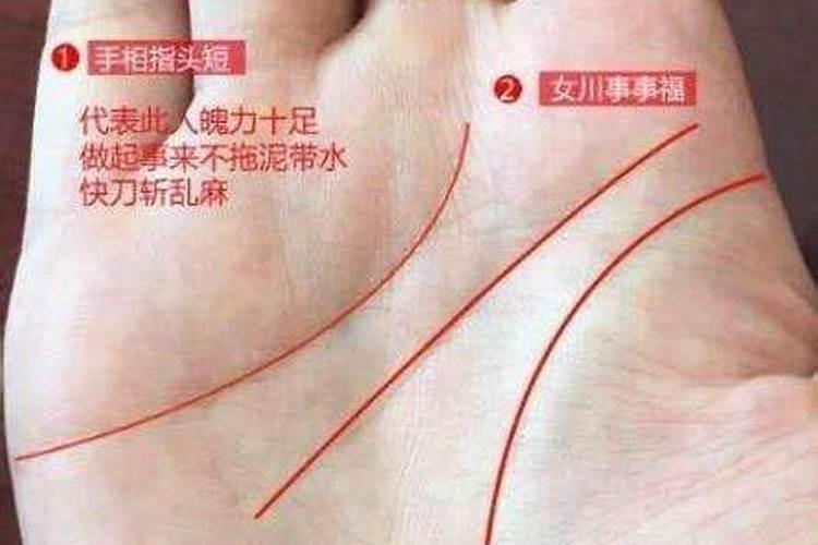 川字掌的男人命运如何 川字掌的女人命运如何