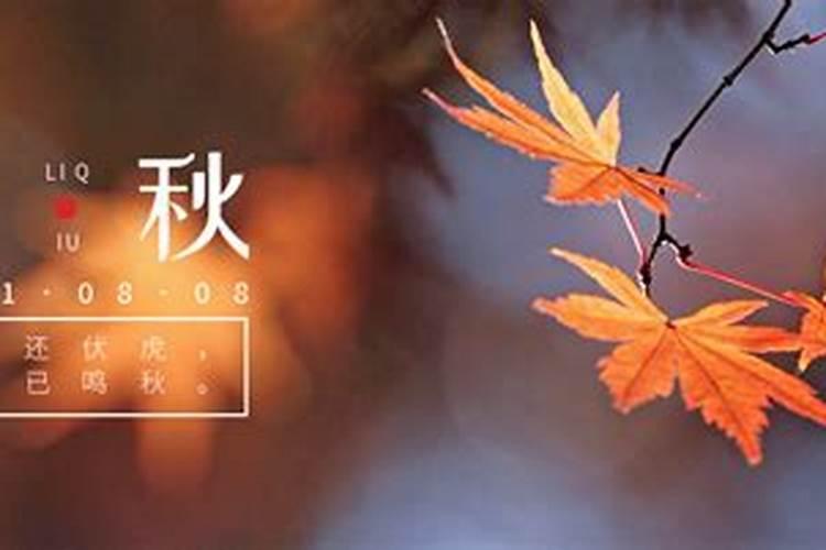 立秋是二十四节气中的第几个节气 立秋是24节气的第多少个节气