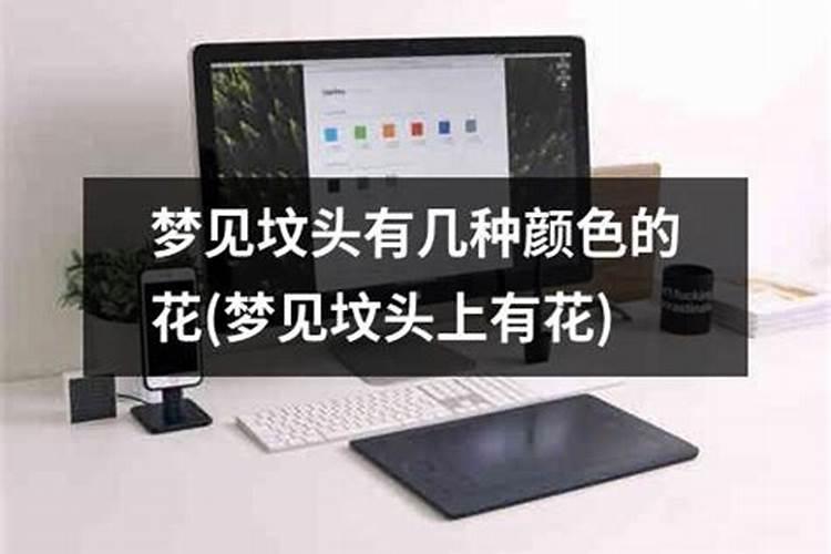 95农历4月初8生的属猪人的命运如何