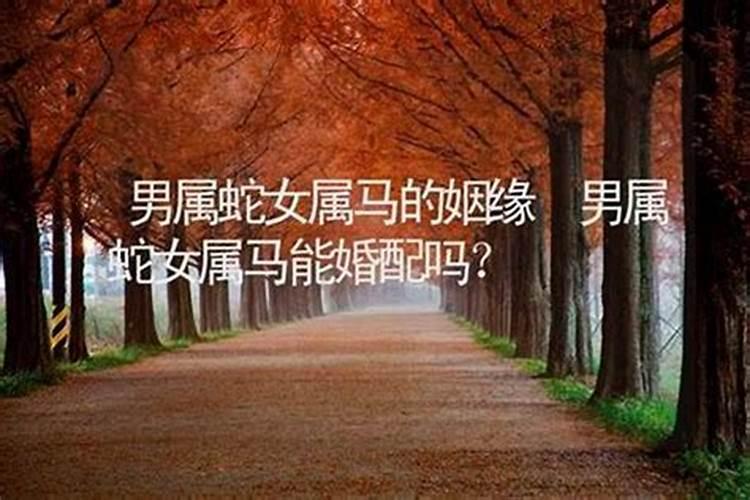求大师解读:男( 蛇)木与女(马)土八字合不合呀 ,结了婚会怎么样呀...