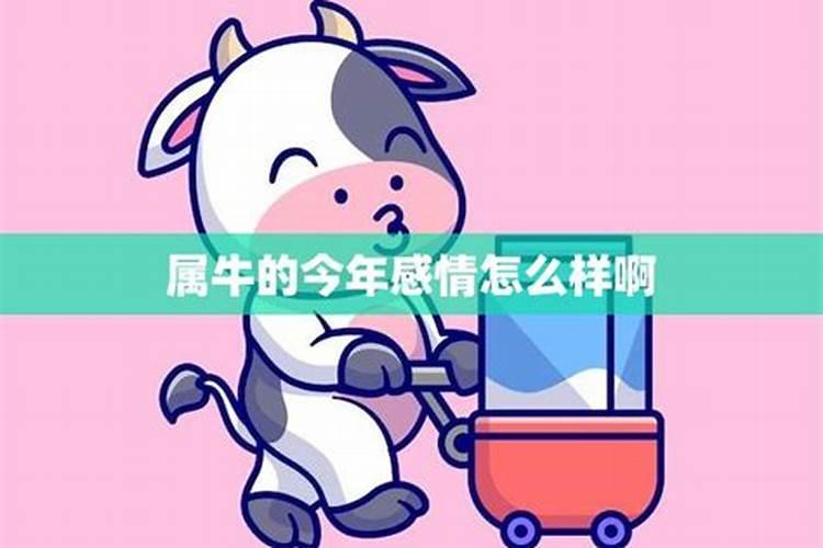 牛年出生的人今年运气如何？
