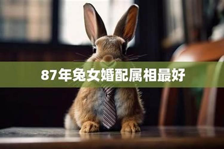 81鸡和87兔婚姻真的很坎坷吗,1981年属鸡和1987年属兔有婚姻幸