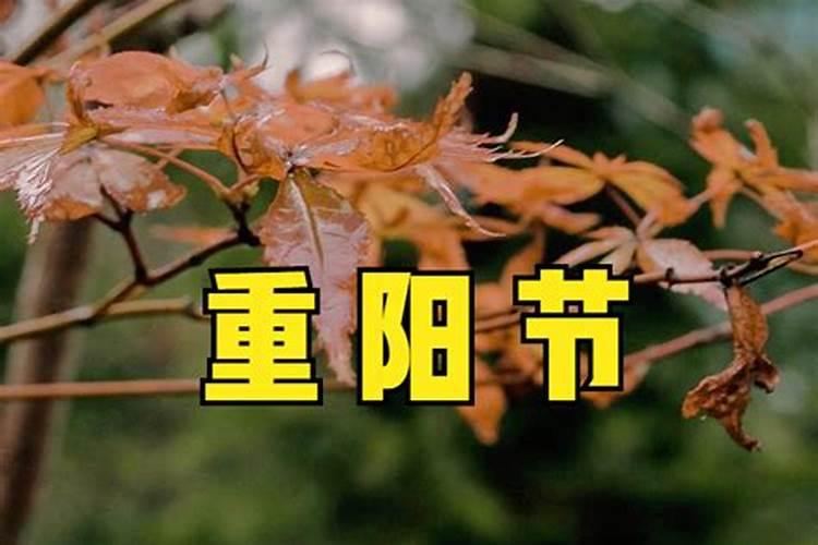 梦见与亲人离散