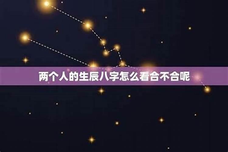 1997年牛最佳配偶属相