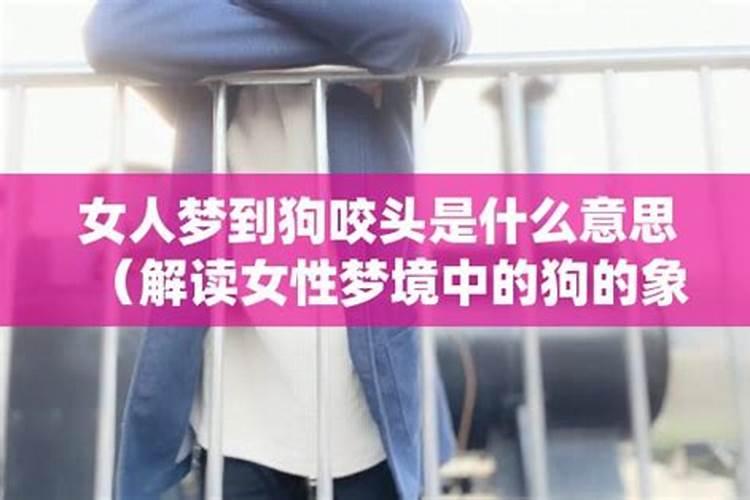 女人梦见狗是什么预兆