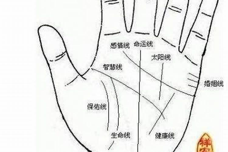 男人短命的3个面相特征