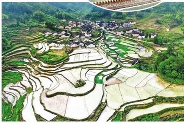 24节气冬至是什么意思 24节气冬至指的是什么