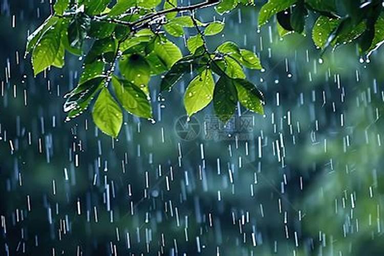 下雨天结婚好不好有什么说法