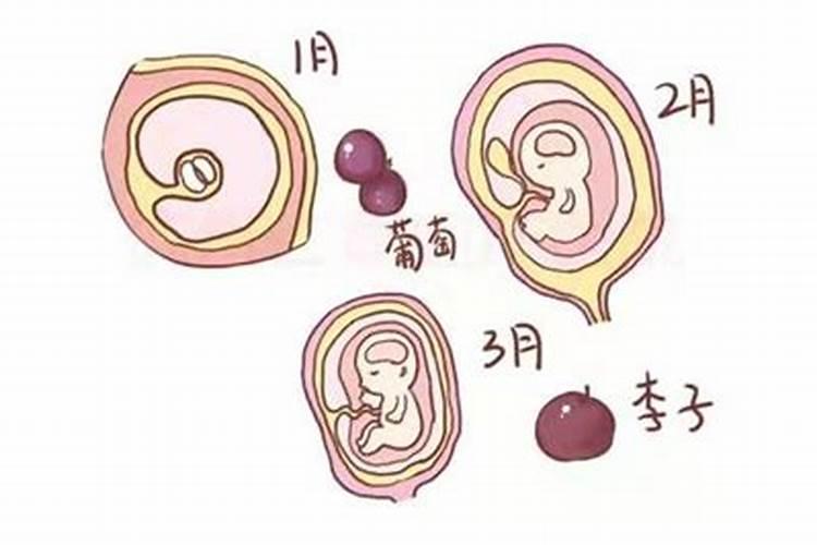 怎样为堕胎灵婴超度