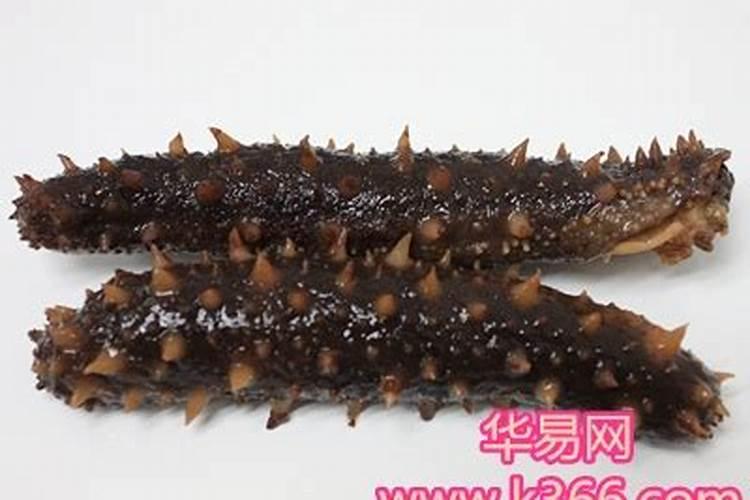 梦见海参是什么意思