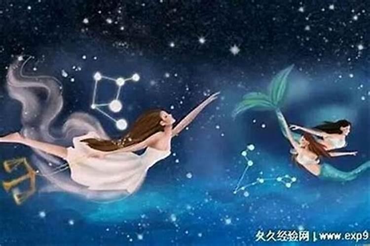 狮子座和什么星座配对合适
