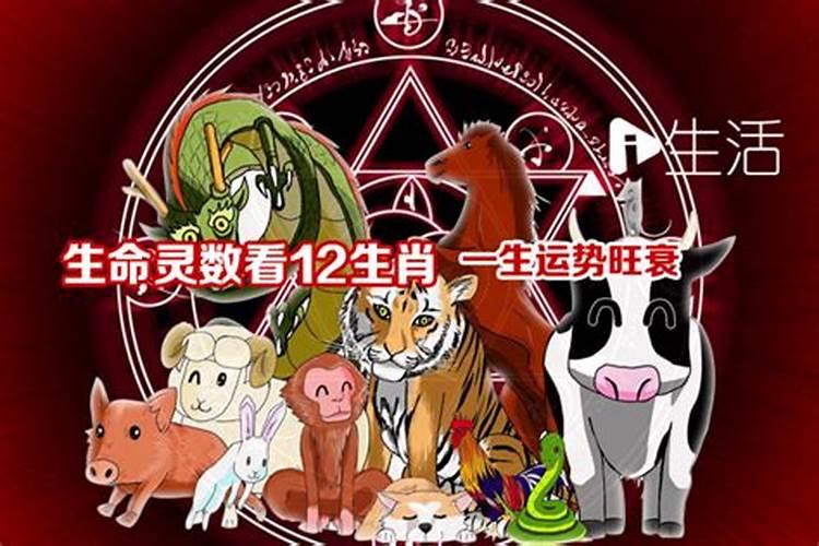 客厅最旺家的摆件 什么摆件能旺家中风水？