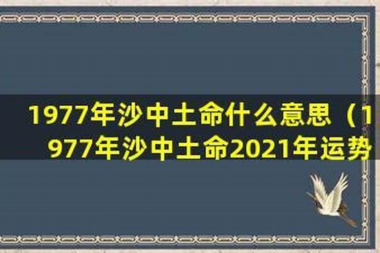 1975年五月初五卯时生,女命怎么样