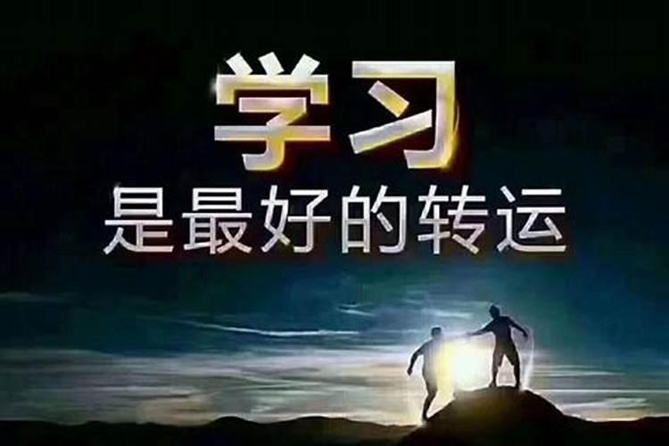 属鼠和属兔能不能结婚