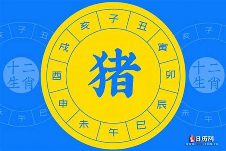 求农历1995年9月23日出生的人的性格和今年的运势:)