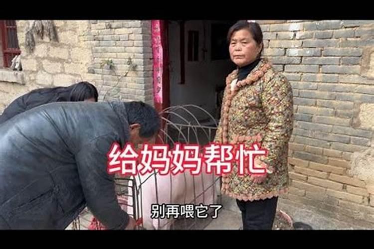 梦见和妈妈一起干活
