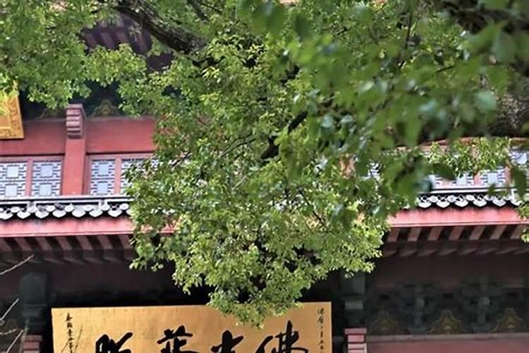 腊月十四有什么讲究