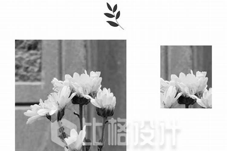 生肖牛1985年2025年运势如何 生肖牛1985年2025年全年运势