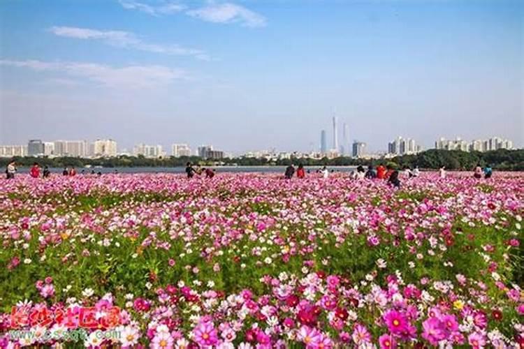 七夕节有什么风俗