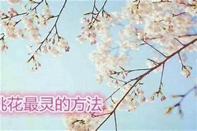 九紫离火大运对五行缺火的人好吗