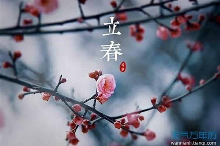 立春是2024的几月几日几点几分今年几点打春具体时间