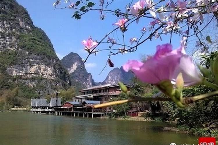 属蛇人2025年犯太岁的化解方法