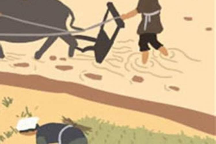 梦到出车祸死人是什么意思 梦到出车祸死人好不好