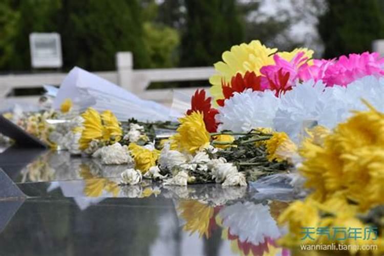 清明节祭祀扫墓送什么花 4种花色供你选择