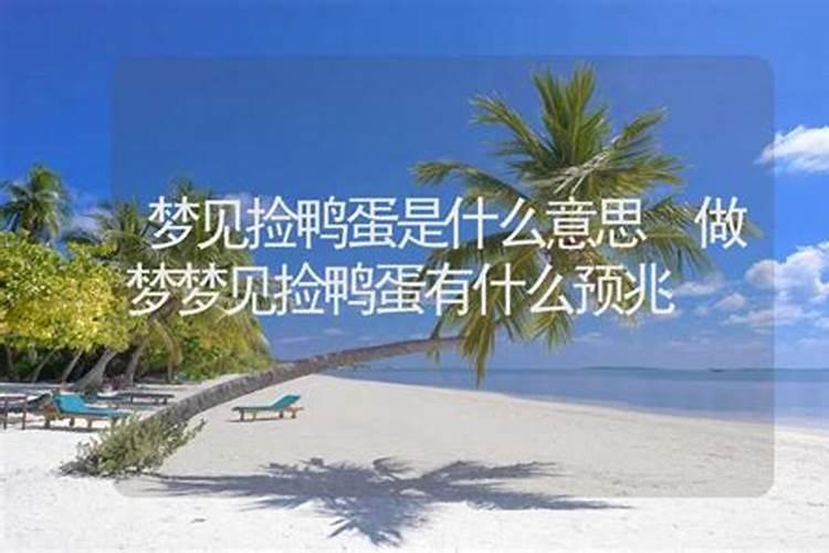 梦见捡鸭蛋是什么预兆周公解梦