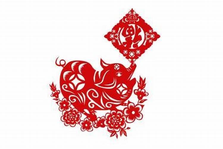 八字弱是什么意思