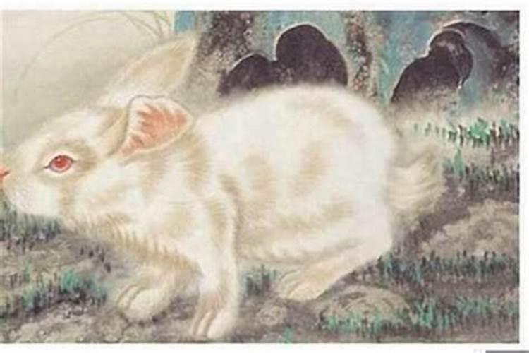 87年属兔十月出生的命运 这月出生好不好？