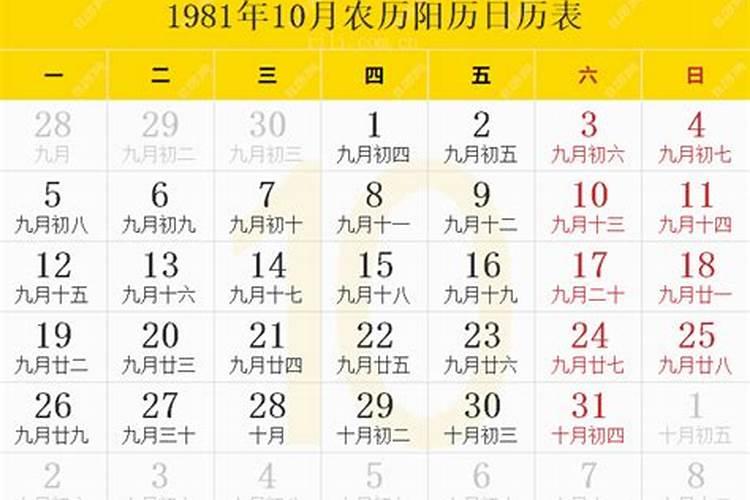 农历1981年10月20六点左右出生的事情和事业走向如何？