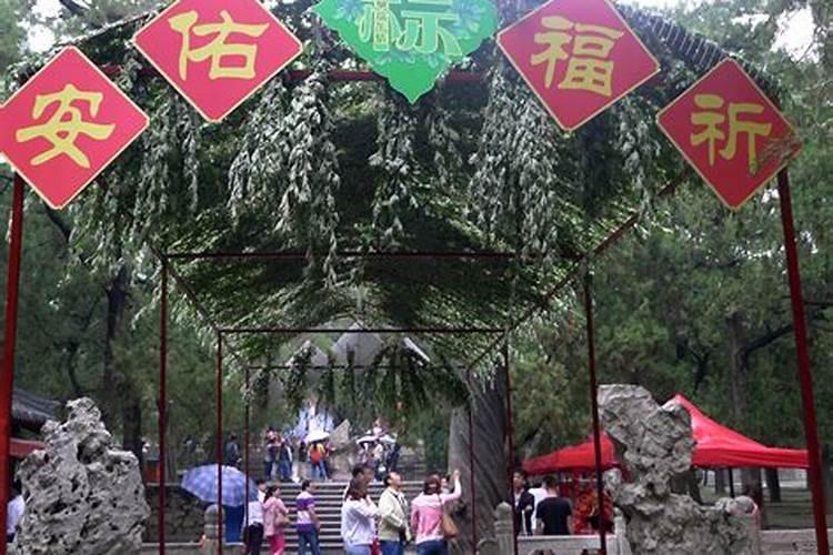 重阳节有哪些习俗
