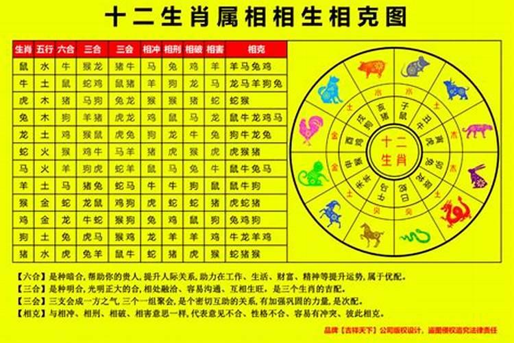 十二生肖与五行相生相克表
