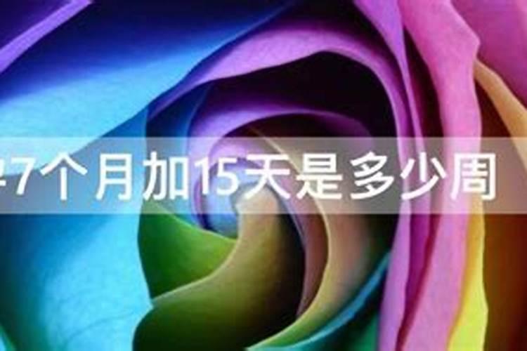 农历七月十五是阳历多少号