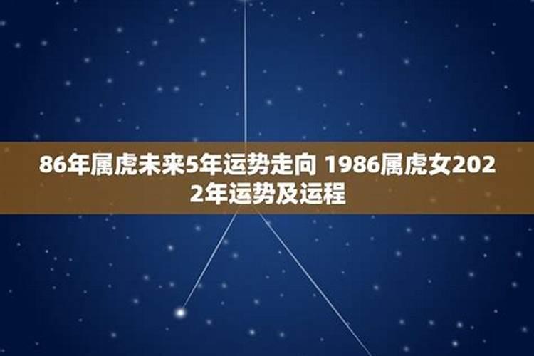 属马2025年运势完整版