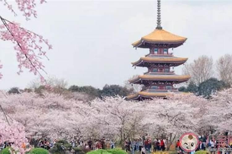 武汉清明节适合带孩子去哪里玩,清明武汉周边旅游攻略