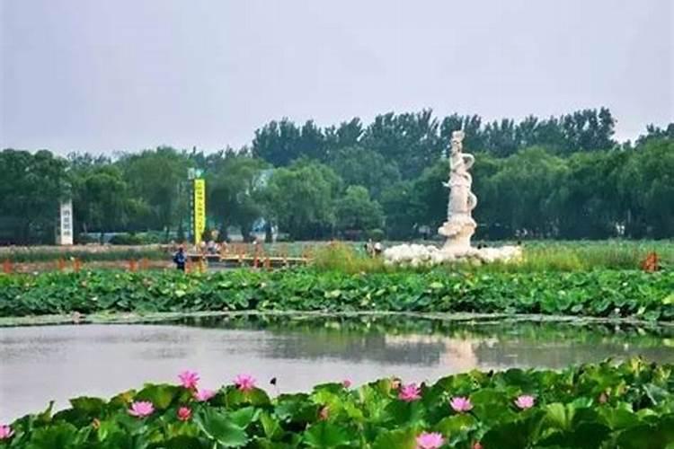为什么正月初五吃饺子