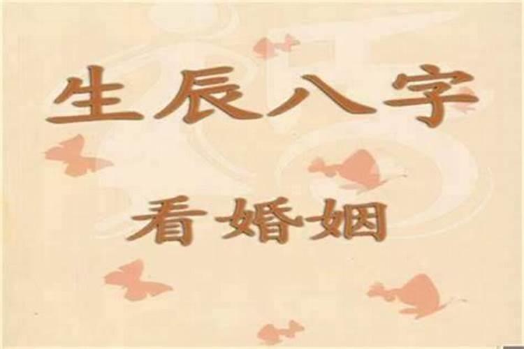 95年农历9月什么命 95年属猪人五行