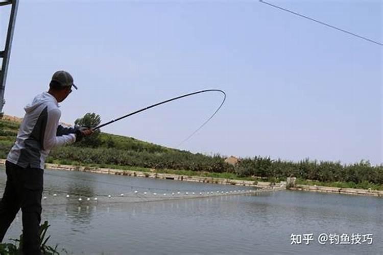 中秋节前后水库钓鱼技巧秋季在水库钓鱼的技巧