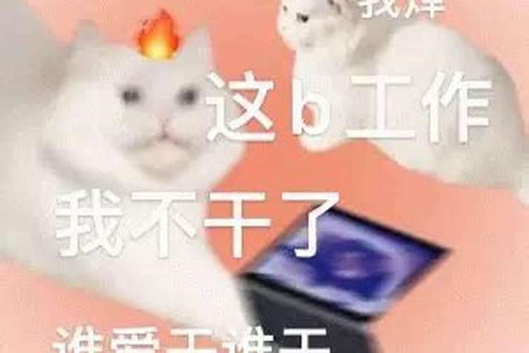 冬至节的来历