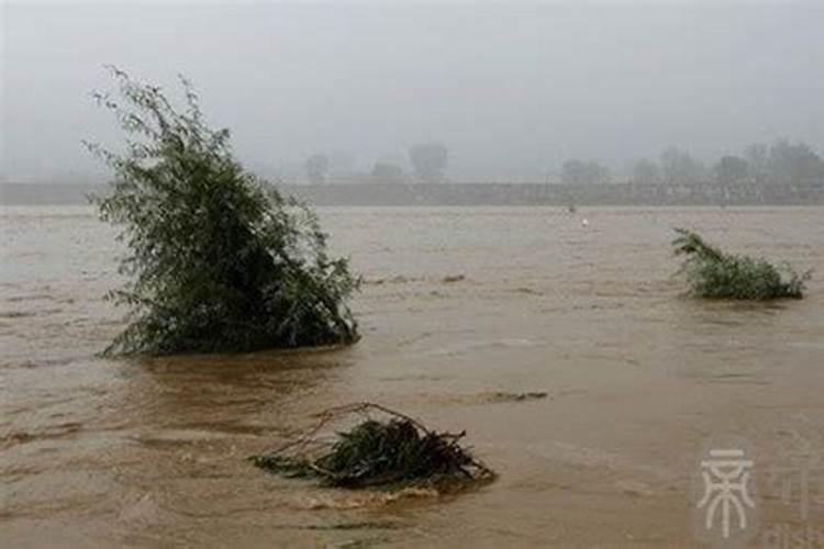 梦见洪水是什么预兆