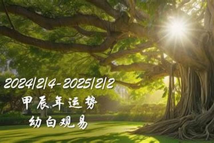 2025 年 2 月 17 日出生五行缺什么
