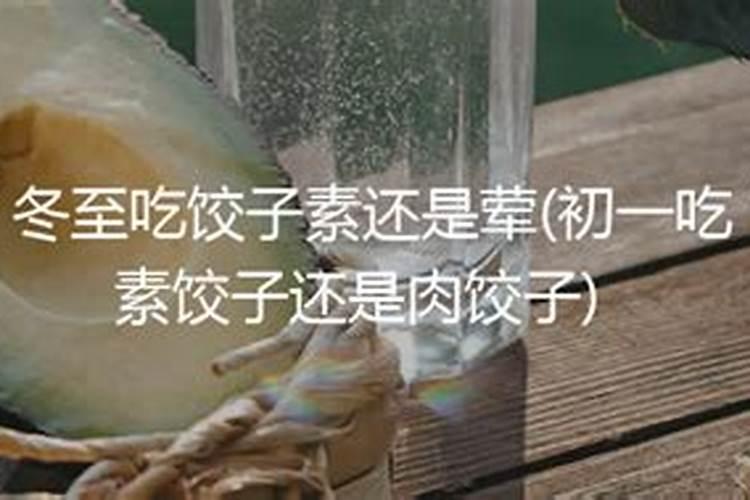 冬至饺子吃肉的还是素的